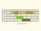  Life stages table Copyright Martin Evans 