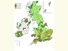  Distribution map Copyright Martin Evans 