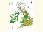  Distribution map Copyright Martin Evans 