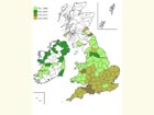  Distribution map Copyright Martin Evans 