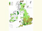 Distribution map Copyright Martin Evans 
