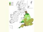  Distribution map Copyright Martin Evans 
