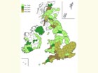  Distribution map Copyright Martin Evans 