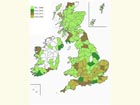  Distribution map Copyright Martin Evans 