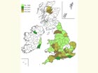  Distribution map Copyright Martin Evans 