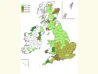  Distribution map Copyright Martin Evans 