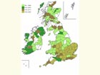  Distribution map Copyright Martin Evans 