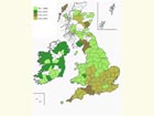  Distribution map Copyright Martin Evans 