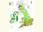  Distribution map Copyright Martin Evans 