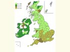  Distribution map Copyright Martin Evans 