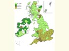  Distribution map Copyright Martin Evans 