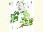  Distribution map Copyright Martin Evans 