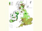  Distribution map Copyright Martin Evans 