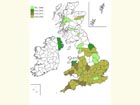  Distribution map Copyright Martin Evans 
