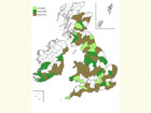  Distribution map Copyright Martin Evans 