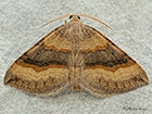  70.045 Shaded Broad-bar Copyright Martin Evans 