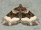  70.065 Sharp-angled Carpet Copyright Martin Evans 