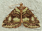  70.074 July Highflyer Copyright Martin Evans 
