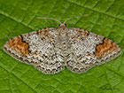  70.116 Blomers Rivulet Copyright Martin Evans 