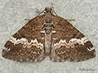  70.132 Rivulet Copyright Martin Evans 