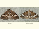  70.132 Rivulet and Small Rivulet Copyright Martin Evans 