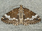  70.133 Small Rivulet Copyright Martin Evans 