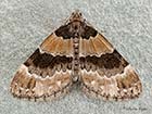  70.139 Barred Carpet Copyright Martin Evans 