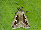  73.026 Silver Hook Copyright Martin Evans 