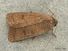  73.097 Rustic Copyright Martin Evans 