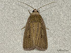  73.104 Porter's Rustic Copyright Martin Evans 