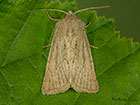  73.145 Mere Wainscot Copyright Martin Evans 
