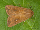  73.297 White-point Copyright Martin Evans 